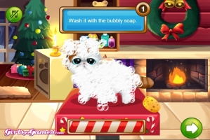 Paws to Beauty Christmas - screenshot 1
